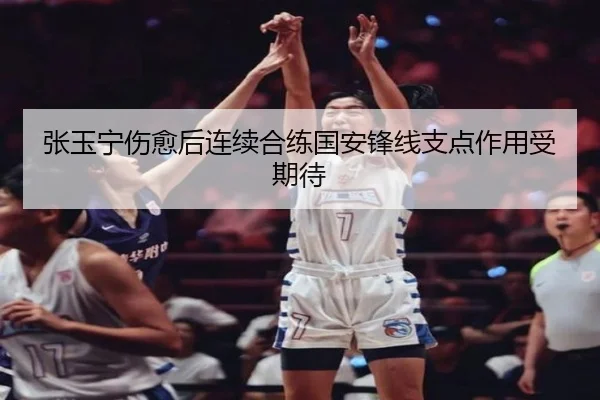 张玉宁伤愈后连续合练国安锋线支点作用受期待