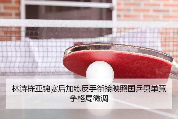 林诗栋亚锦赛后加练反手衔接映照国乒男单竞争格局微调